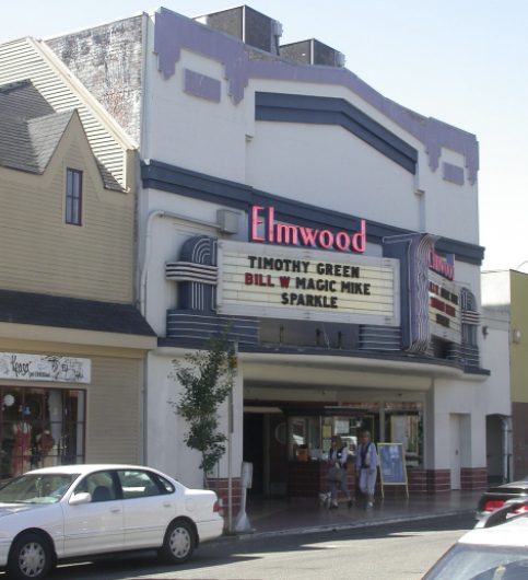 Saturday, October 11, 2025: A Walk Through the Elmwood led by Robert Johnson
