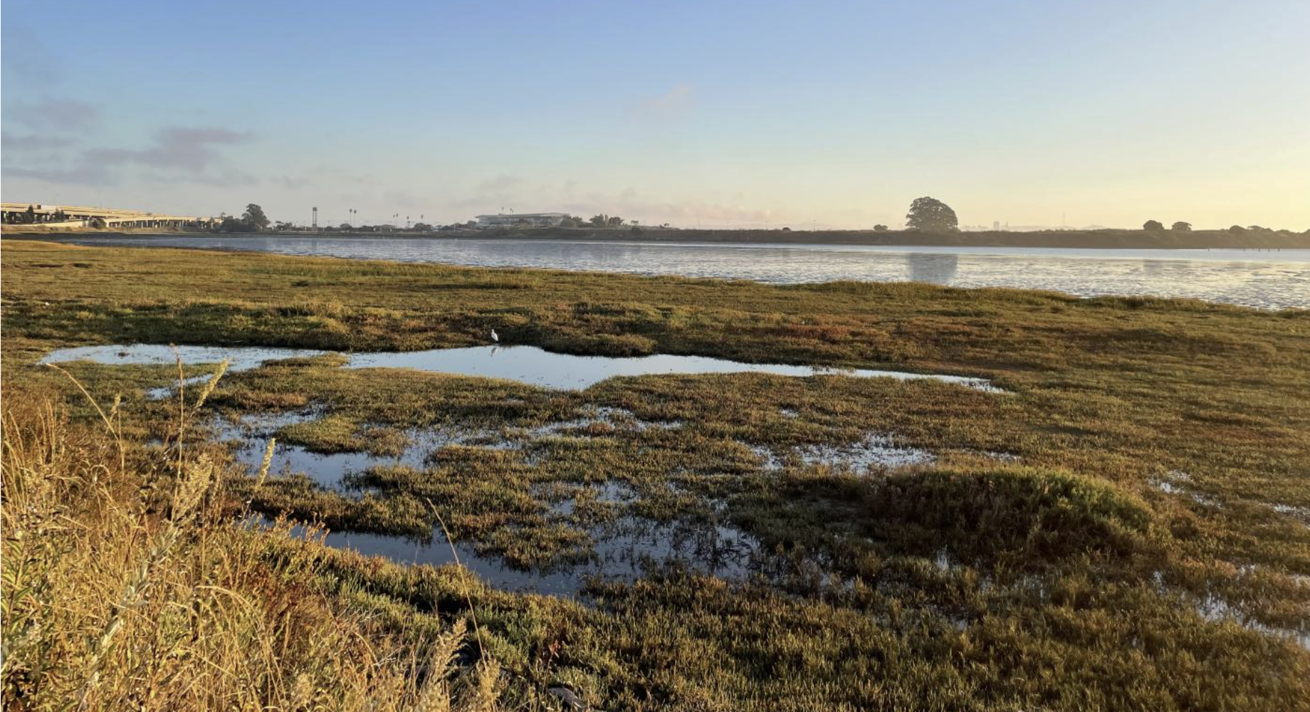 Sunday, July 19, 2026, 3 pm: Creating Climate Resilience on Berkeley’s Waterfront